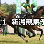 【信濃川特別】2024/5/11(土) 中央競馬 穴馬予想(新潟競馬)
