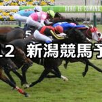 【弥彦ステークス】2024/5/12(日) 中央競馬 穴馬予想(新潟競馬)