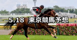 【メイステークス】2024/5/18(土) 中央競馬 穴馬予想(東京競馬)