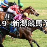 【韋駄天ステークス】2024/5/19(日) 中央競馬 穴馬予想(新潟競馬)