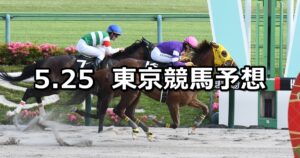 【欅ステークス】2024/5/25(土) 中央競馬 穴馬予想(東京競馬)