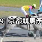 【三宮ステークス】2024/6/9(日) 中央競馬 穴馬予想(京都競馬)