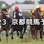 【宝塚記念】2024/6/23日) 中央競馬 穴馬予想(京都競馬)