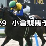 【博多ステークス】2024/6/29(土) 中央競馬 穴馬予想(小倉競馬)