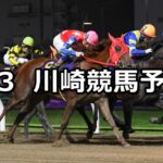 【スパーキングレディーカップ】2024/7/3(水)地方競馬 穴馬予想(川崎競馬)