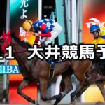 【ジュライ賞】2024/7/11(木)地方競馬 穴馬予想(大井競馬)