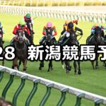 【アイビスサマーダッシュ】2024/7/28(日) 中央競馬 穴馬予想(新潟競馬)