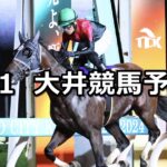 【東京記念トライアル】2024/8/1(木)地方競馬 穴馬予想(大井競馬)