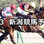 【新潟日報賞】2024/8/3(土) 中央競馬 穴馬予想(新潟競馬)