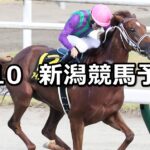 【BSN賞】2024/8/10(土) 中央競馬 穴馬予想(新潟競馬)