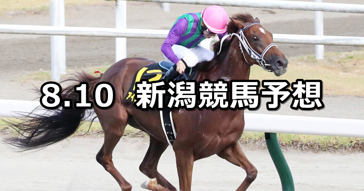 【BSN賞】2024/8/10(土) 中央競馬 穴馬予想（新潟競馬）