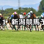 【関屋記念】2024/8/11(日) 中央競馬 穴馬予想(新潟競馬)