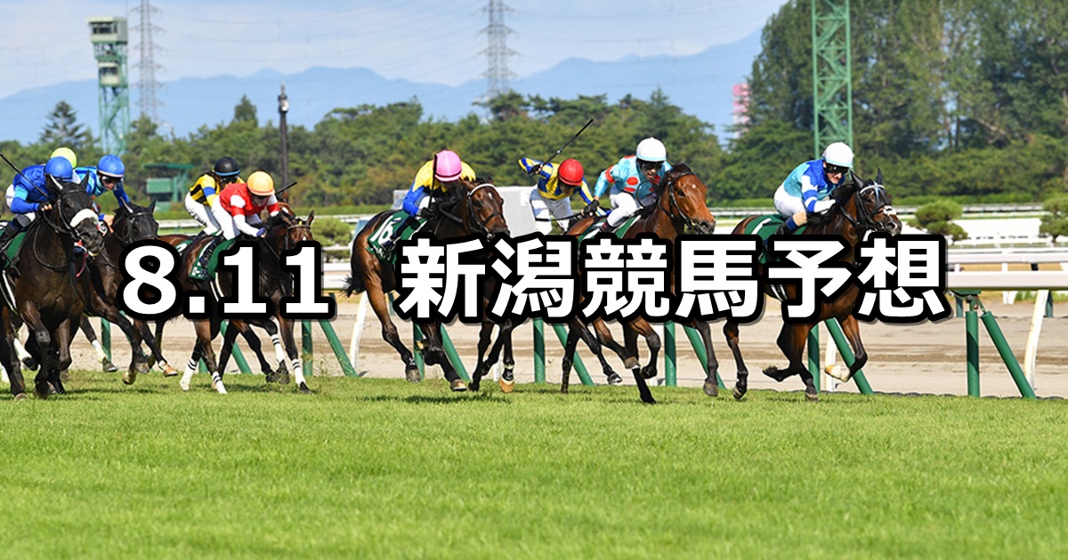 【関屋記念】2024/8/11(日) 中央競馬 穴馬予想（新潟競馬）