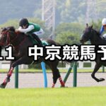【小倉記念】2024/8/11(日) 中央競馬 穴馬予想(中京競馬)