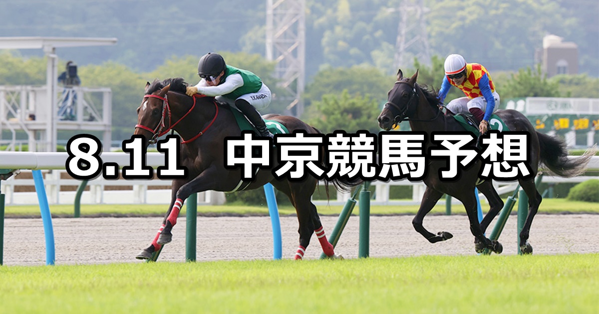 【小倉記念】2024/8/11(日) 中央競馬 穴馬予想（中京競馬）