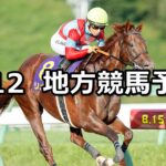 【クラスターカップ/サードニックス賞】2024/8/12(月)地方競馬 穴馬予想（盛岡/大井競馬）
