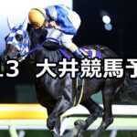 【サマーナイト賞】2024/8/13(火)地方競馬 穴馬予想(大井競馬)