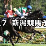 【日本海ステークス】2024/8/17(土) 中央競馬 穴馬予想(新潟競馬)