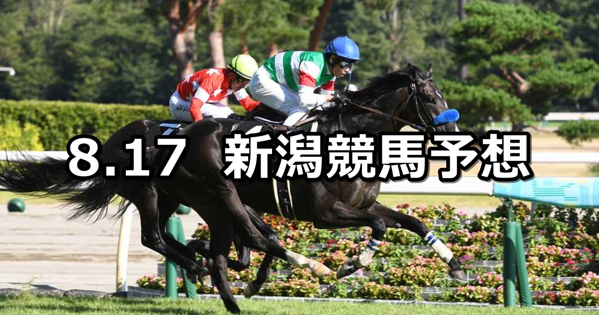 【日本海ステークス】2024/8/17(土) 中央競馬 穴馬予想（新潟競馬）