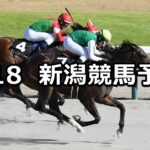 【NST賞】2024/8/18(日) 中央競馬 穴馬予想(新潟競馬)