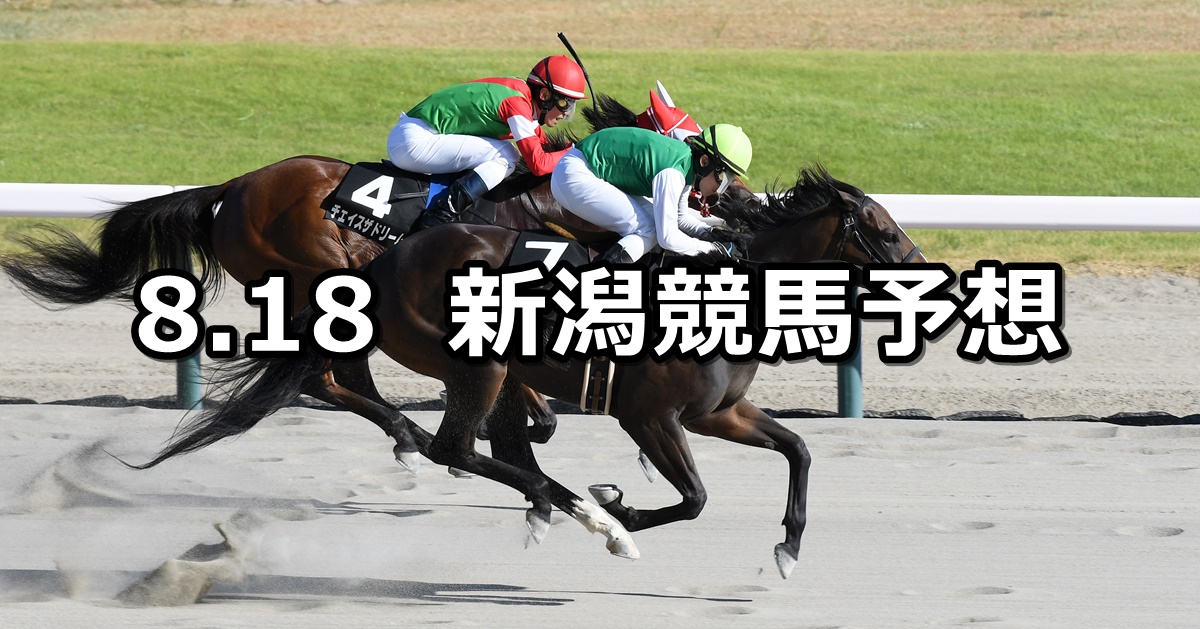 【NST賞】2024/8/18(日) 中央競馬 穴馬予想（新潟競馬）