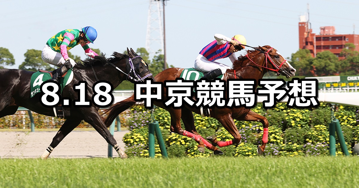 【CBC賞】2024/8/18(日) 中央競馬 穴馬予想（中京競馬）