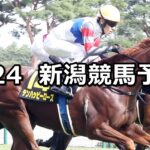 【朱鷺ステークス】2024/8/24(土) 中央競馬 穴馬予想(新潟競馬)