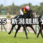 【新潟2歳ステークス】2024/8/25(日) 中央競馬 穴馬予想（新潟競馬）