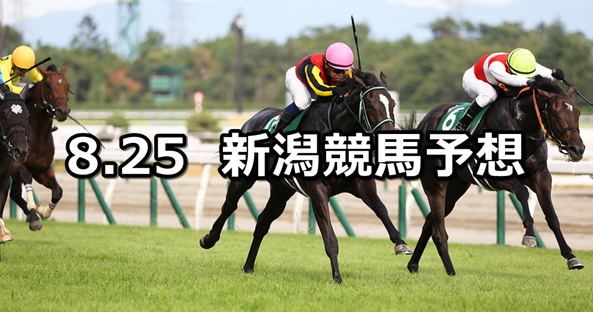 【新潟2歳ステークス】2024/8/25(日) 中央競馬 穴馬予想（新潟競馬）