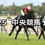 【名鉄杯】2024/8/25(日) 中央競馬 穴馬予想(中京競馬)
