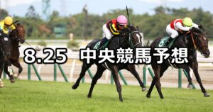 【名鉄杯】2024/8/25(日) 中央競馬 穴馬予想（中京競馬）