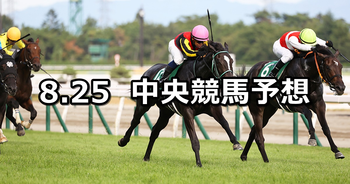 【名鉄杯】2024/8/25(日) 中央競馬 穴馬予想（中京競馬）