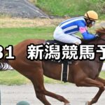 【古町ステークス】2024/8/31(土) 中央競馬 穴馬予想(新潟競馬)