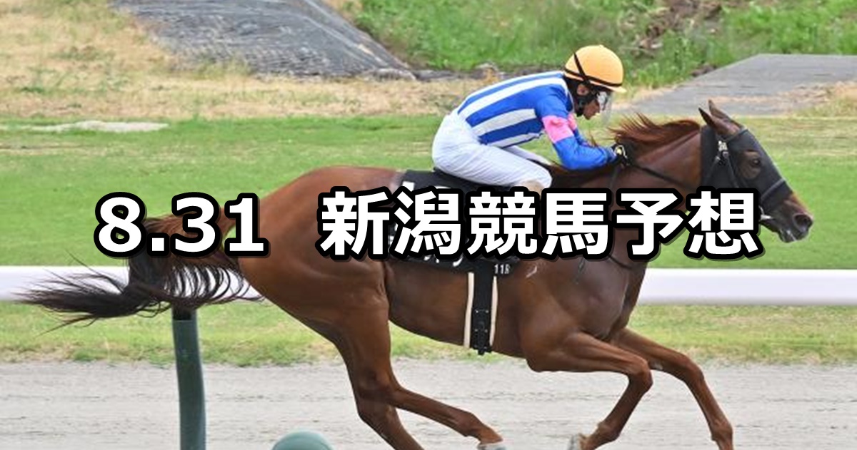 【古町ステークス】2024/8/31(土) 中央競馬 穴馬予想（新潟競馬）