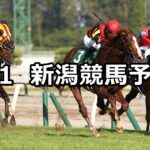 【新潟記念】2024/9/1(日) 中央競馬 穴馬予想(新潟競馬)