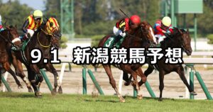 【新潟記念】2024/9/1(日) 中央競馬 穴馬予想(新潟競馬)
