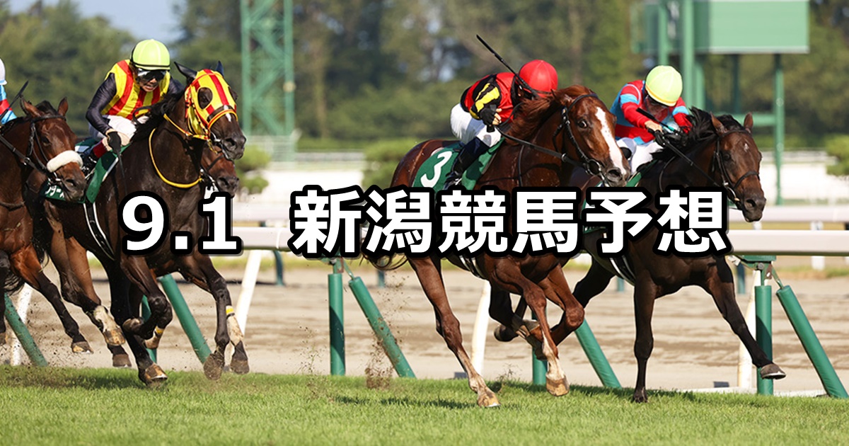 【新潟記念】2024/9/1(日) 中央競馬 穴馬予想（新潟競馬）