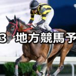 【不来方賞/スパーキングナイトチャレンジ】2024/9/3(火)地方競馬 穴馬予想(盛岡/川崎競馬)