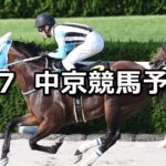 【エニフステークス】2024/9/7(土) 中央競馬 穴馬予想（中京競馬）