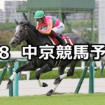 【セントウルステークス】2024/9/8(日) 中央競馬 穴馬予想(中京競馬)
