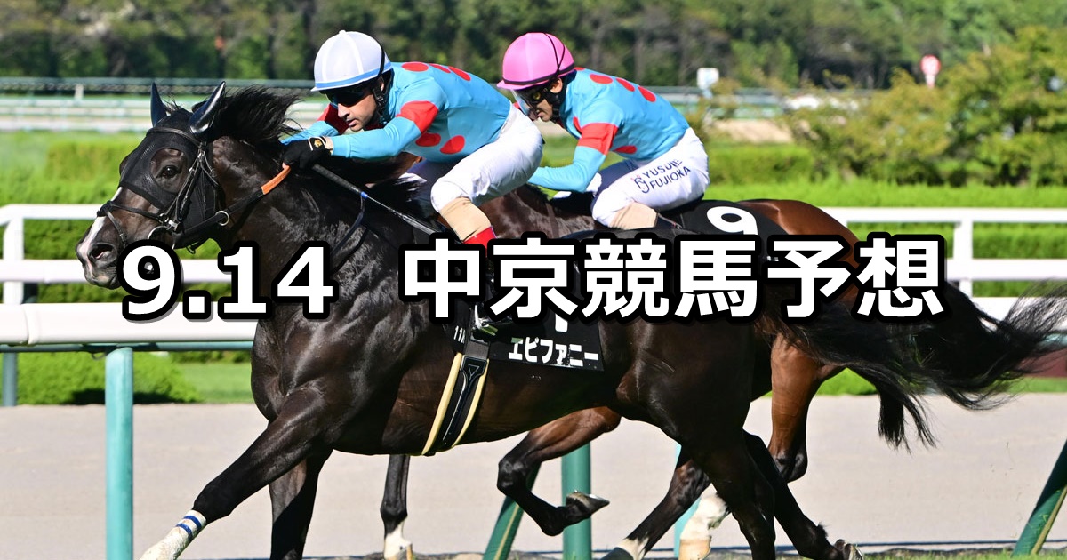 【ケフェウスステークス】2024/9/14(土) 中央競馬 穴馬予想（中京競馬）