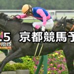 【オパールステークス】2024/10/5(土) 中央競馬 穴馬予想(京都競馬)