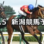 【鳥屋野特別】2024/10/5(土) 中央競馬 穴馬予想（新潟競馬）
