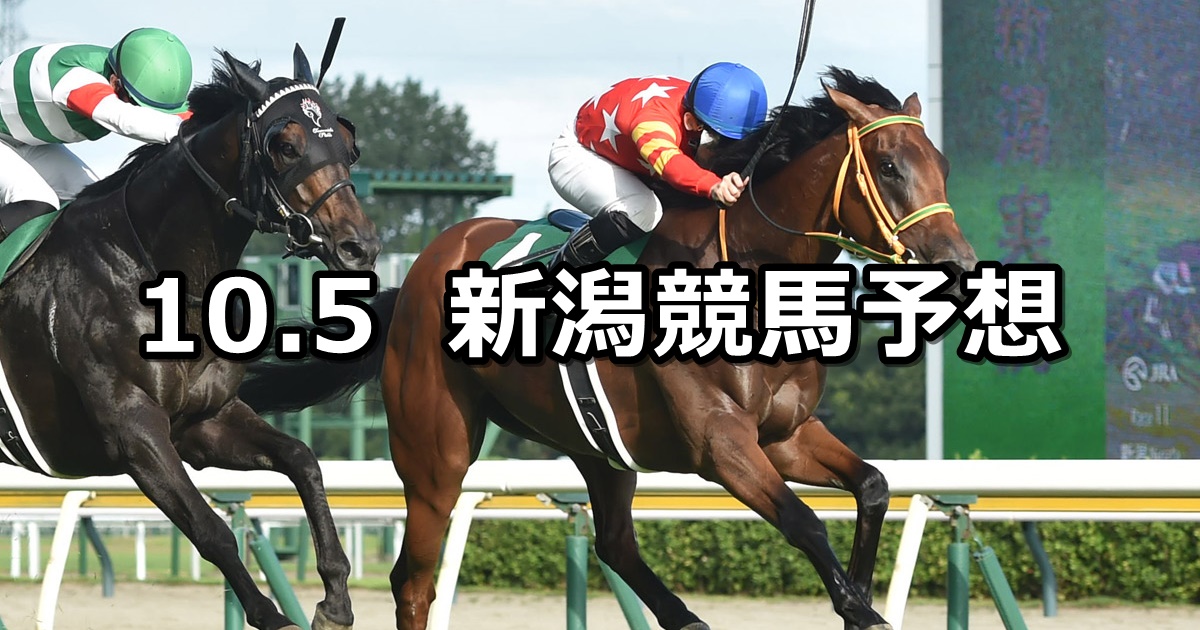 【鳥屋野特別】2024/10/5(土) 中央競馬 穴馬予想（新潟競馬）