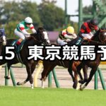 【サウジアラビアロイヤルカップ】2024/10/5(土) 中央競馬 穴馬予想(東京競馬)