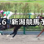 【トルマリンステークス】2024/10/6(日) 中央競馬 穴馬予想(新潟競馬)