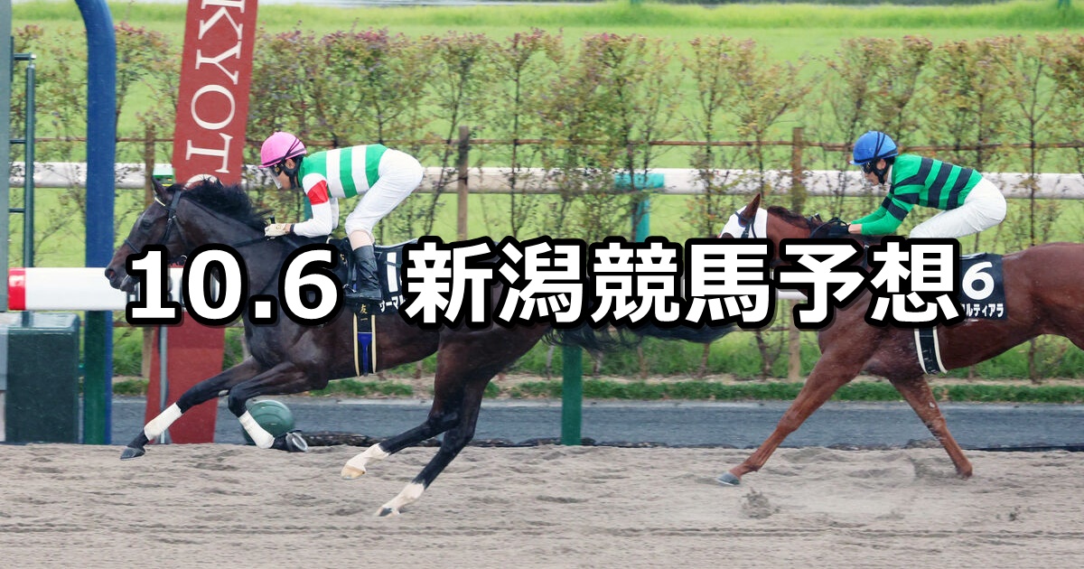 【トルマリンステークス】2024/10/6(日) 中央競馬 穴馬予想（新潟競馬）