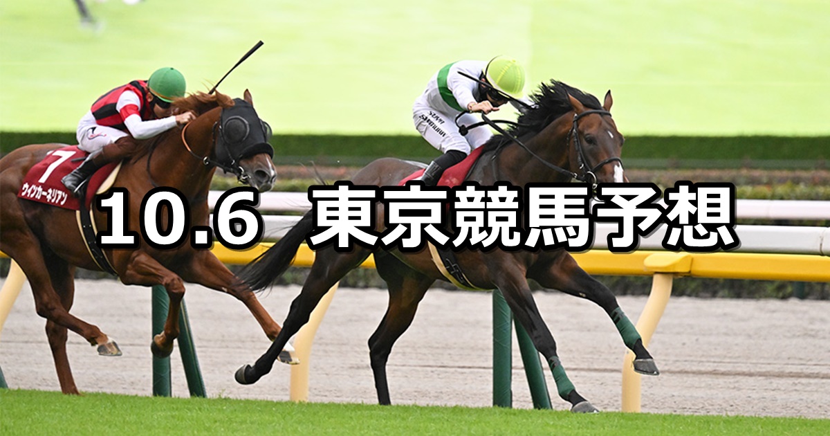 【毎日王冠】2024/10/6(日) 中央競馬 穴馬予想（東京競馬）