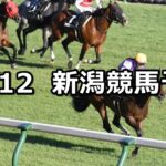 【飛翼特別】2024/10/12(土) 中央競馬 穴馬予想(新潟競馬)