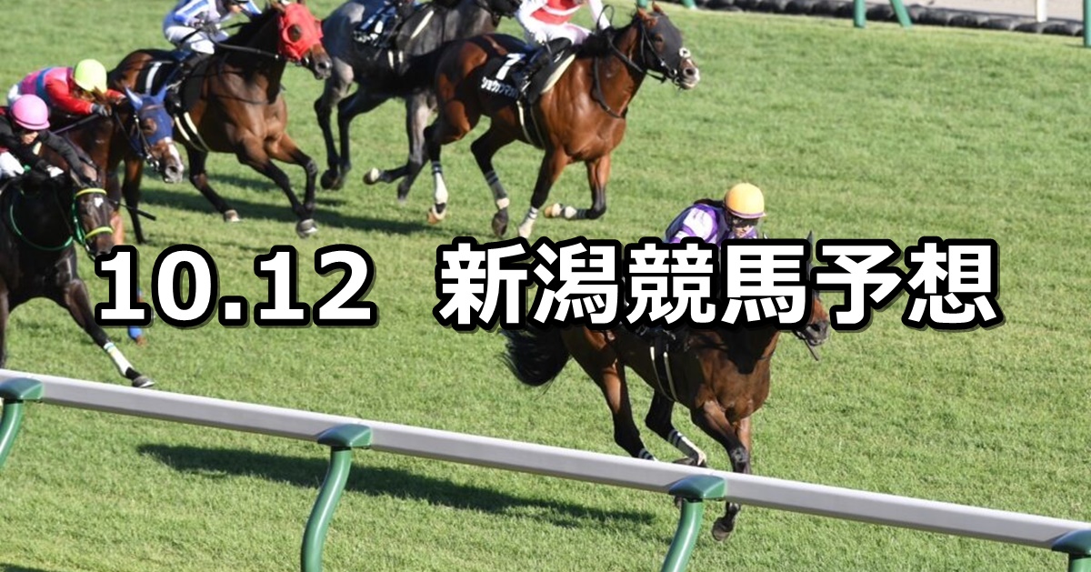 【飛翼特別】2024/10/12(土) 中央競馬 穴馬予想（新潟競馬）